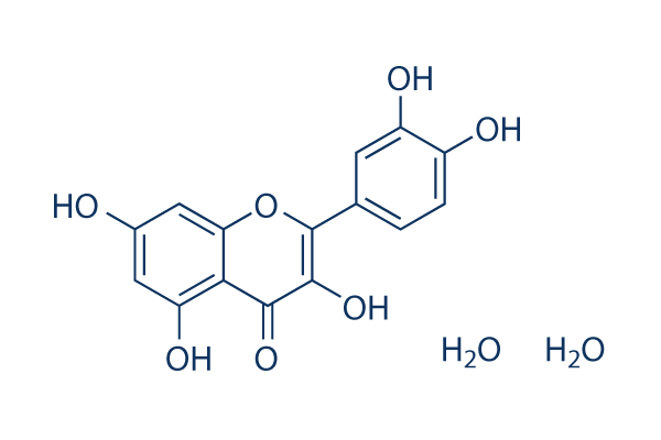 Quercetin Dihydrate 6151-25-3